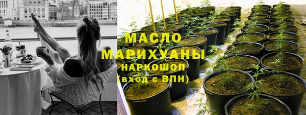 ГАЛЛЮЦИНОГЕННЫЕ ГРИБЫ Строитель