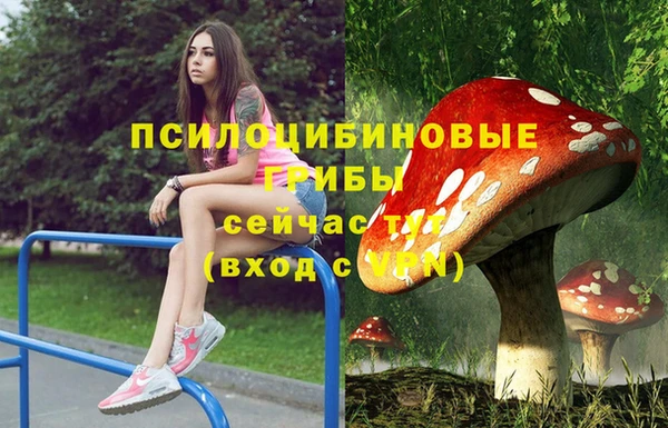 сатива Балабаново