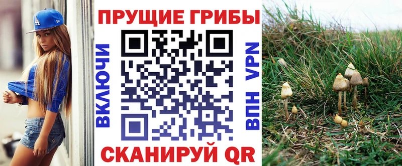 Галлюциногенные грибы Psilocybine cubensis  Городище 